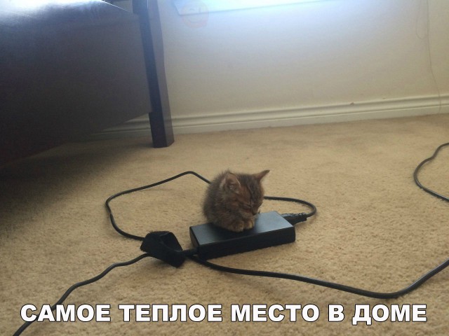 Подборка безудержного веселья