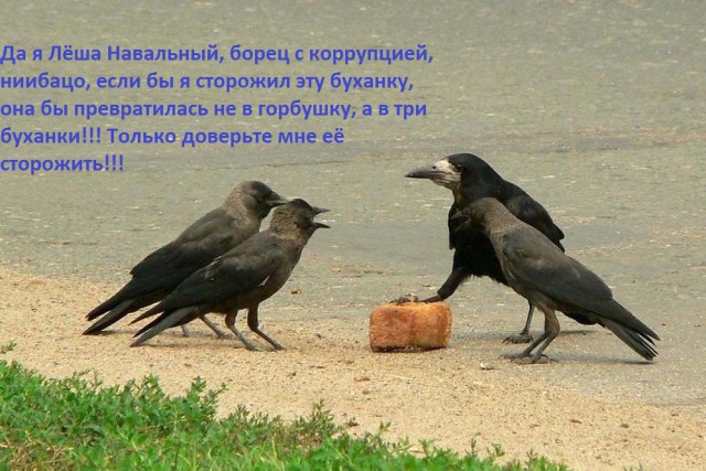 О связанных с Медведевым тайных резиденциях проводят расследования еще со времен его президентства