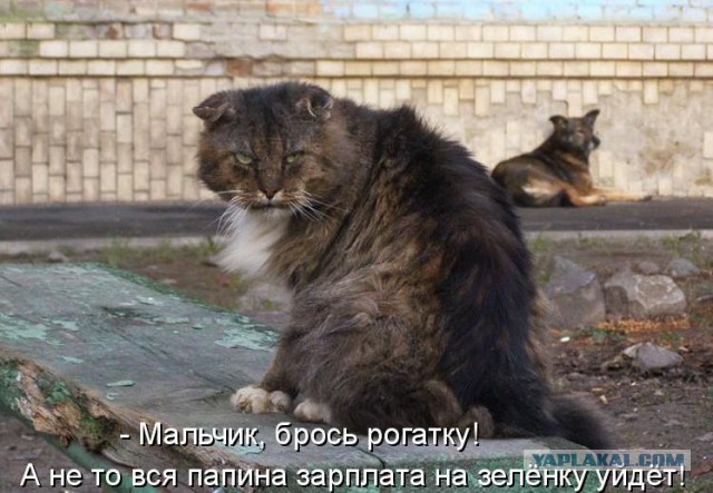 Принципиальный!