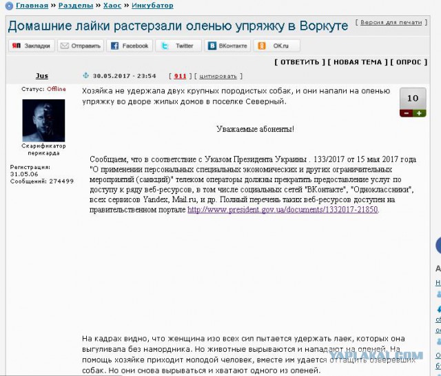 Домашние лайки растерзали оленью упряжку в Воркуте