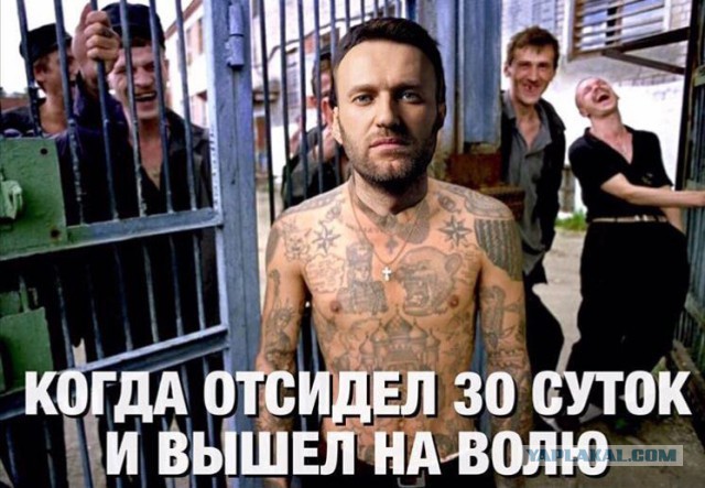 Прикольные картинки 19.06.2017.