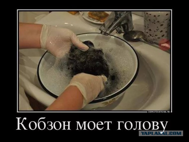 Открытое письмо Иосифу Кобзону от ''хама''