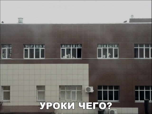 Подборка интересных и веселых картинок