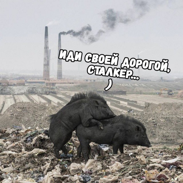 Подеградируем, немного картинок веселых и разных