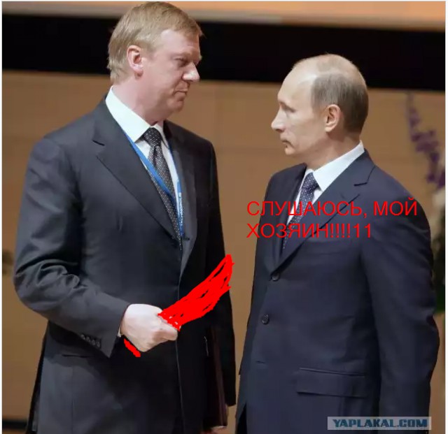 Народ требует путина на теледебаты!