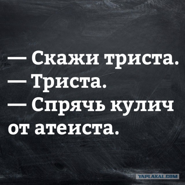 Алиса не хотела, но ее заставили!