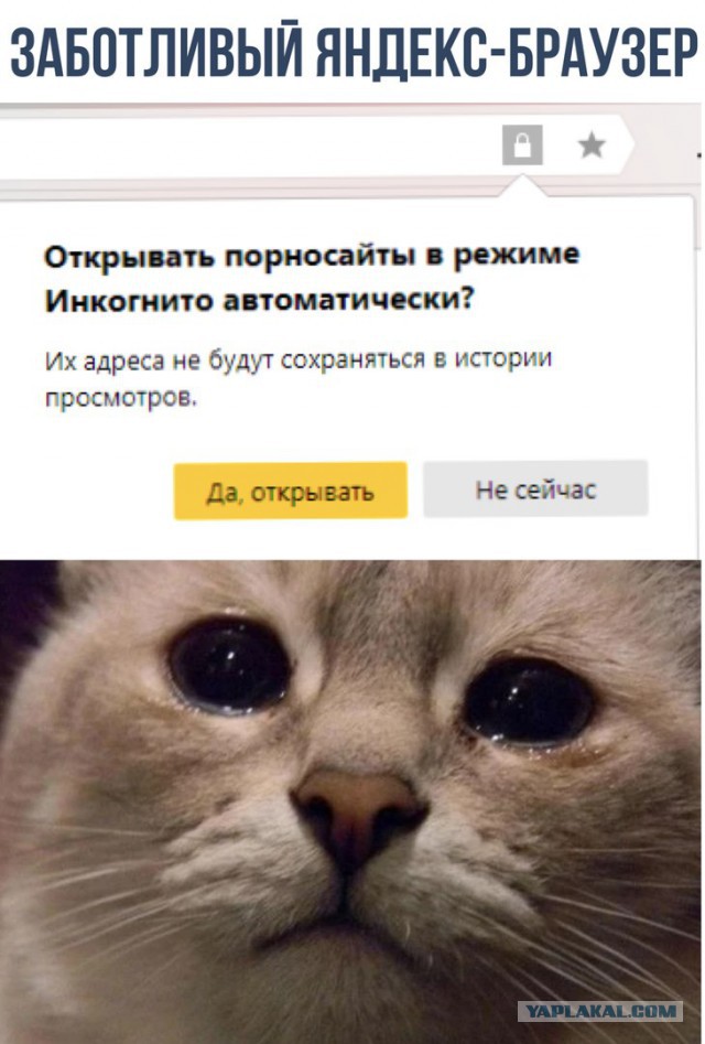 Весёлые картинки