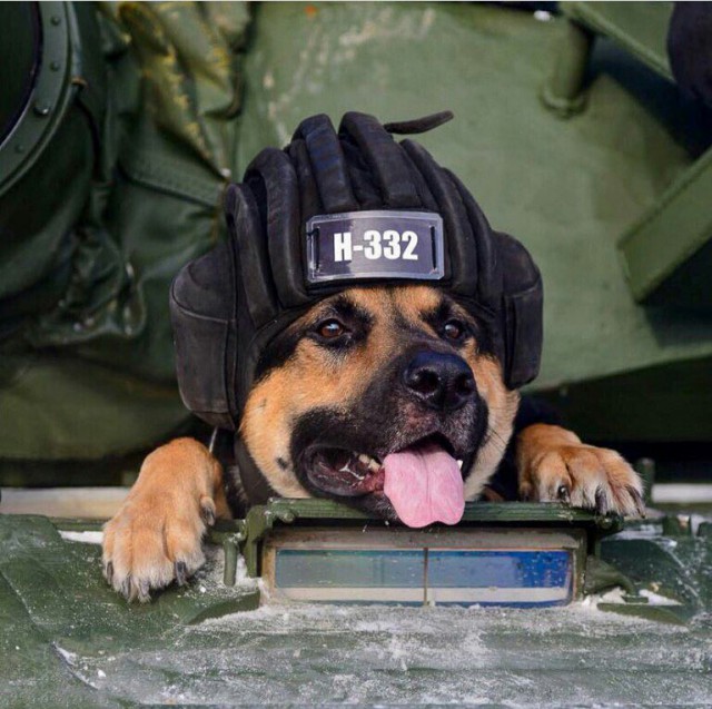 Доброе утро военные картинки прикольные