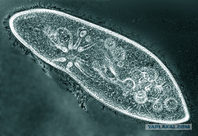 Как я выиграл почти 200'000 рублей