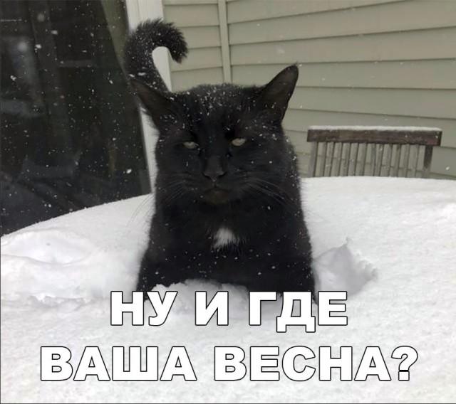 Прикольные картинки абавсём