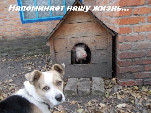 Ну кому нужна война? Никому конечно!