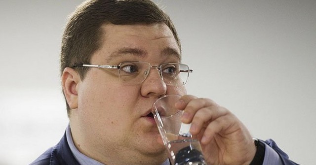 Птица попала, не Чайка