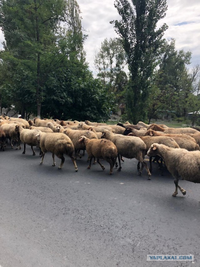 Поездка в Баку
