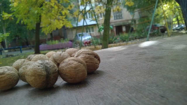 Сам себе фотограф