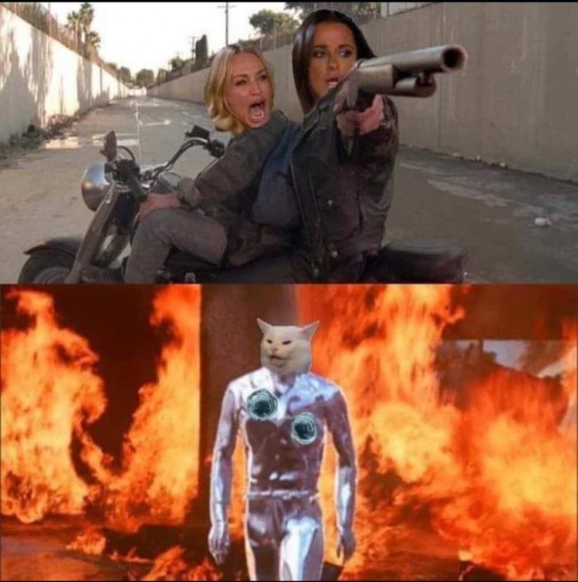 Мем: Две женщины орут на озадаченного кота за столом