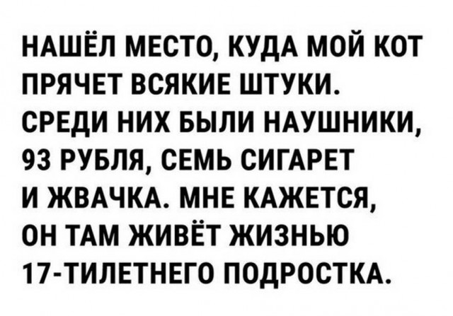 Немного картинок для настроения 20.01.20