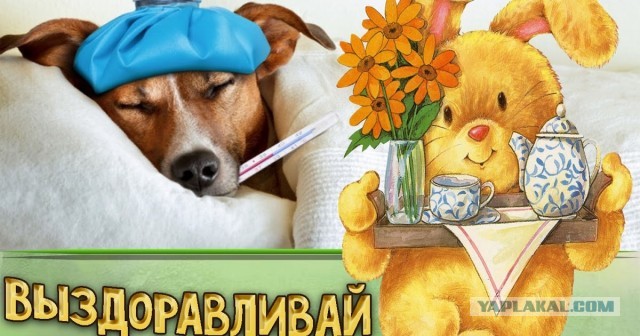 Зацепила-таки меня зараза коронавирусная