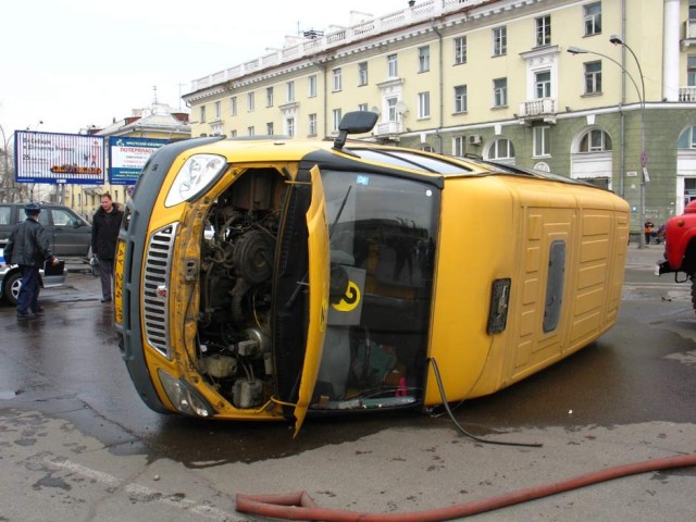 Опа кита