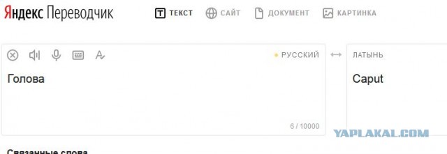 15 поразительных фактов о деньгах