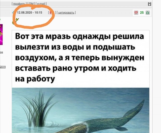 Не очень адекватный юмор 19.08.2020
