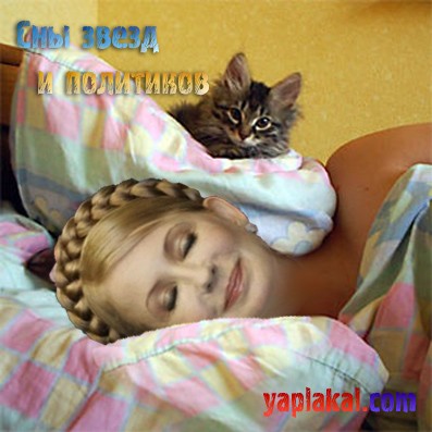 Фотожаба : Сны политиков и популярных людей