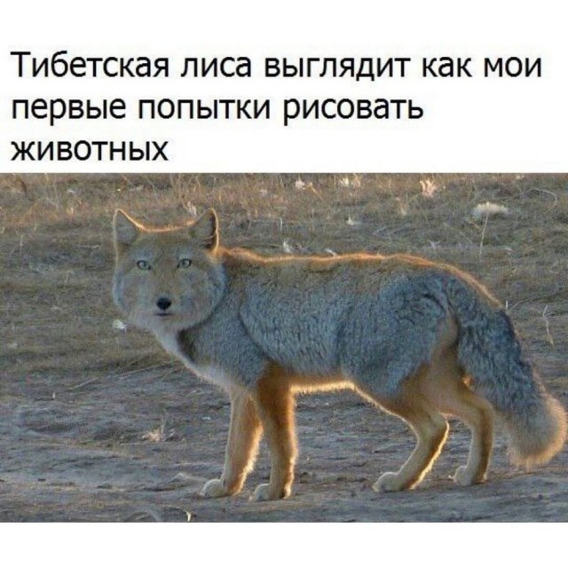Просто добрые картинки. Всем хорошего дня!