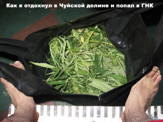 Фотожаба: Как я провел лето