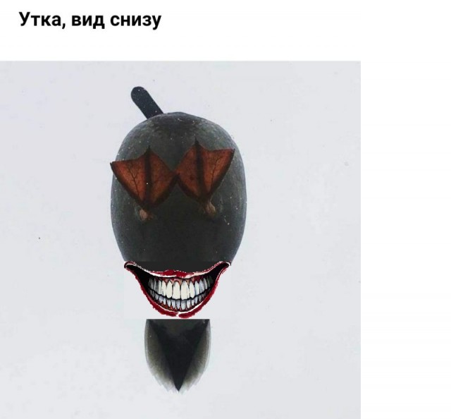 Бредзона 06.11.2020