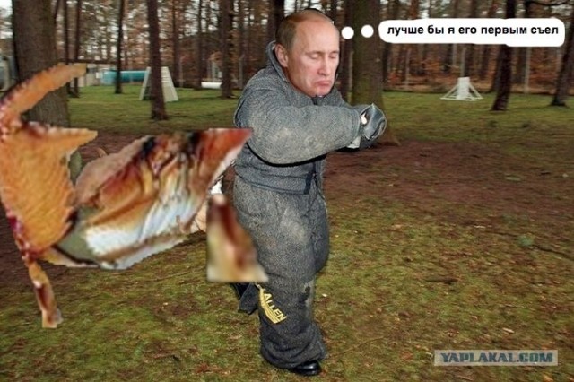 Фотожаба: Путин и хрень