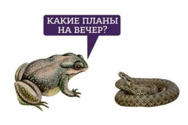По следам "Следа"