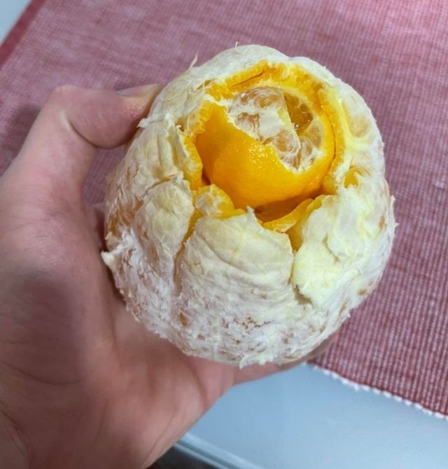 Необыкновенные штуки, которые жизнь подкидывает нам