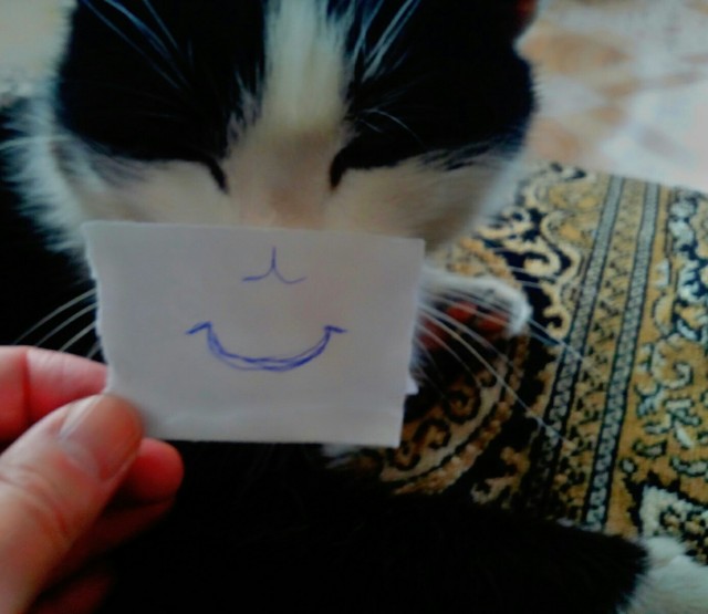 Кошки , кошечки, котяры 14.03.21