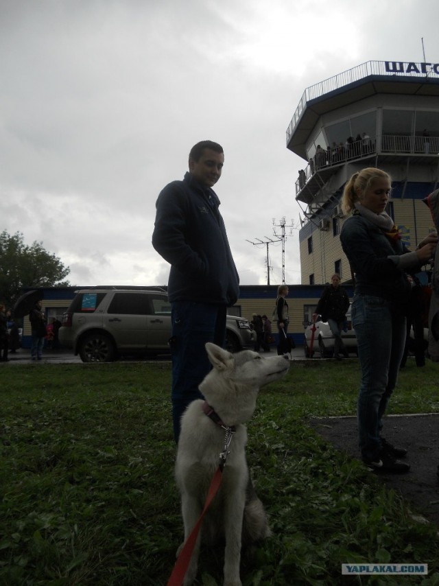 Над встречкой пошёл