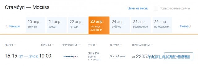 Застрявшая в Турции Екатерина Андреева обвинила Голикову во лжи