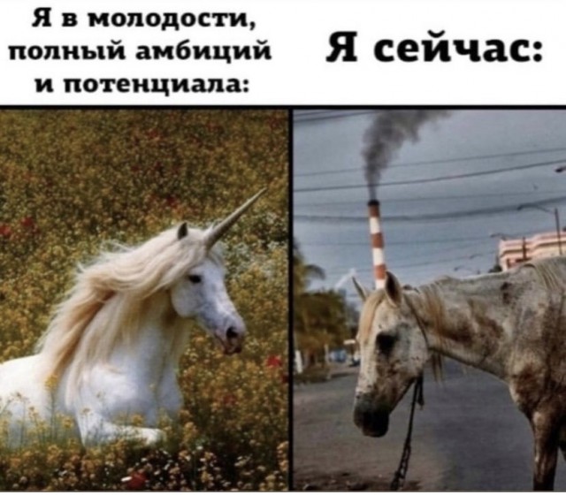 Картинки с надписями и всякие жизненные фразы 29.05.21