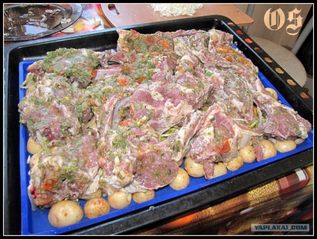 Фантазии с Корейкой под сыром "Горгонзолла"