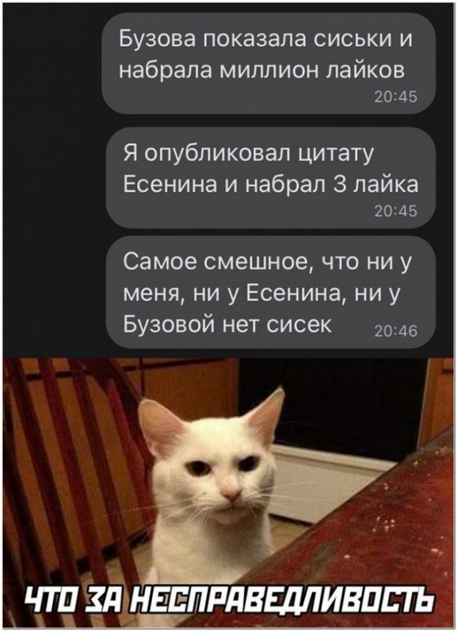 Картинки и мемы для настроения 02.11.2021
