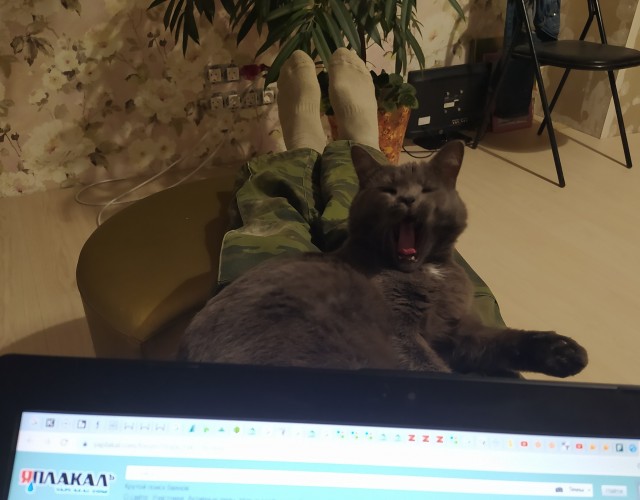 Цуцуня