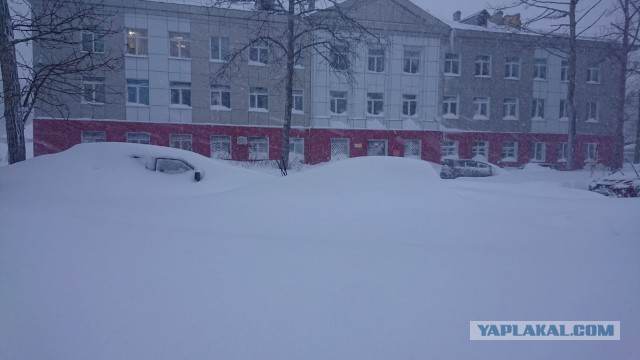 Жители Южно-Сахалинска превратили действующий в городе режим ЧС в народные забавы