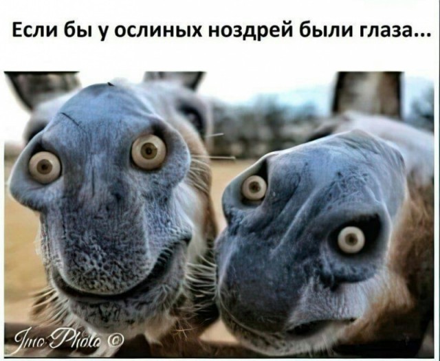 Так себе картинки 03.02.22