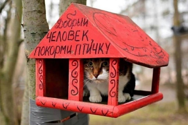 Древние картинки