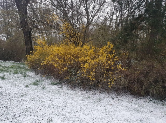 Деревенская Америка - 9