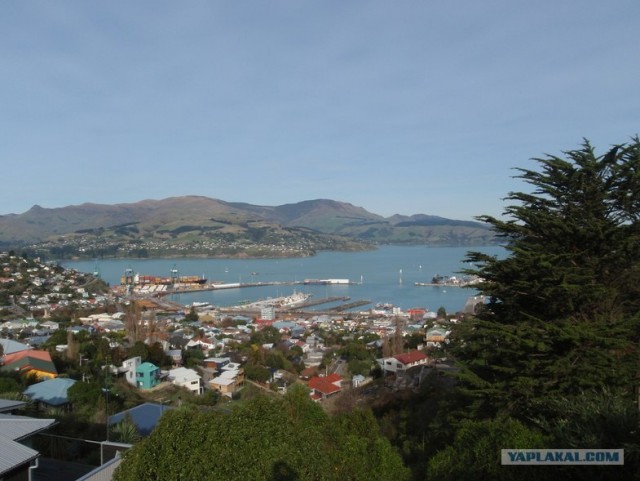 На машине по Новой Зеландии