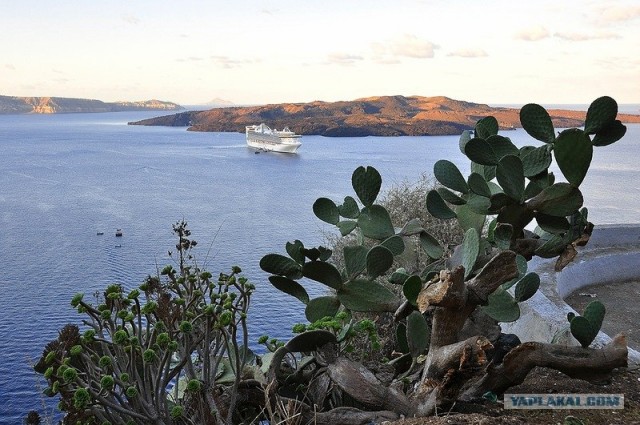 Любовь с первого взгляда