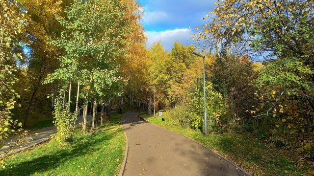 Поделимся красивыми фото с телефона?