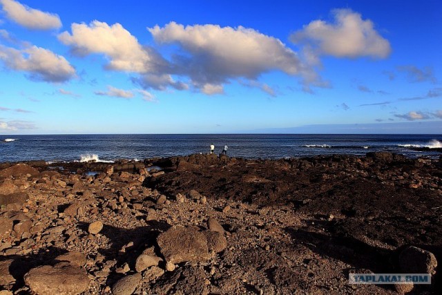 Южно-Американский дневник. остров Пасхи