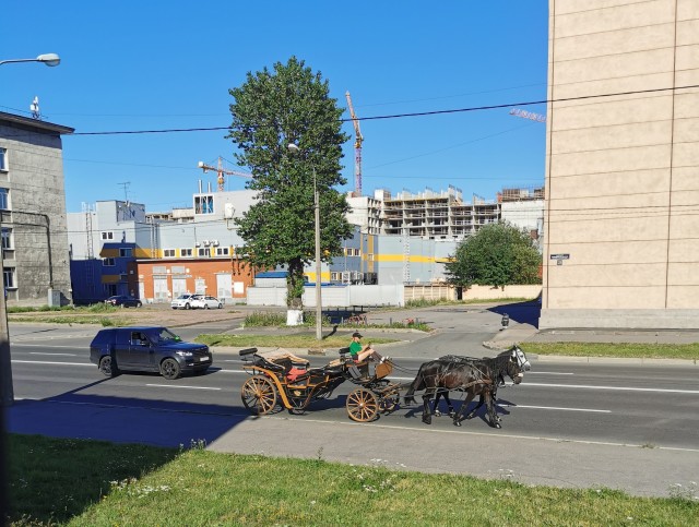 Фото с телефона
