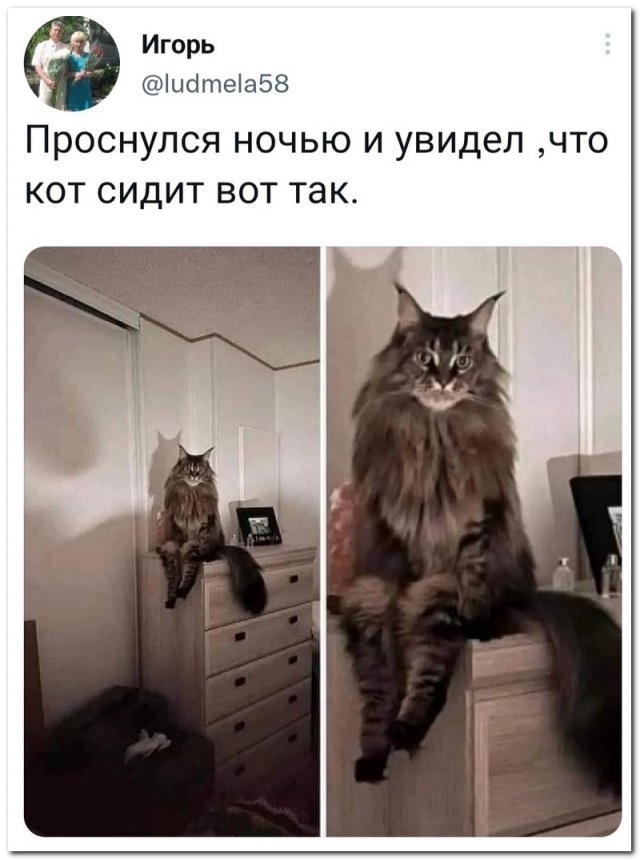Забавные комментарии из социальных сетей (19.12.22)