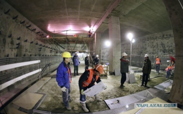 Чем больше строек — тем больше находок⁠⁠