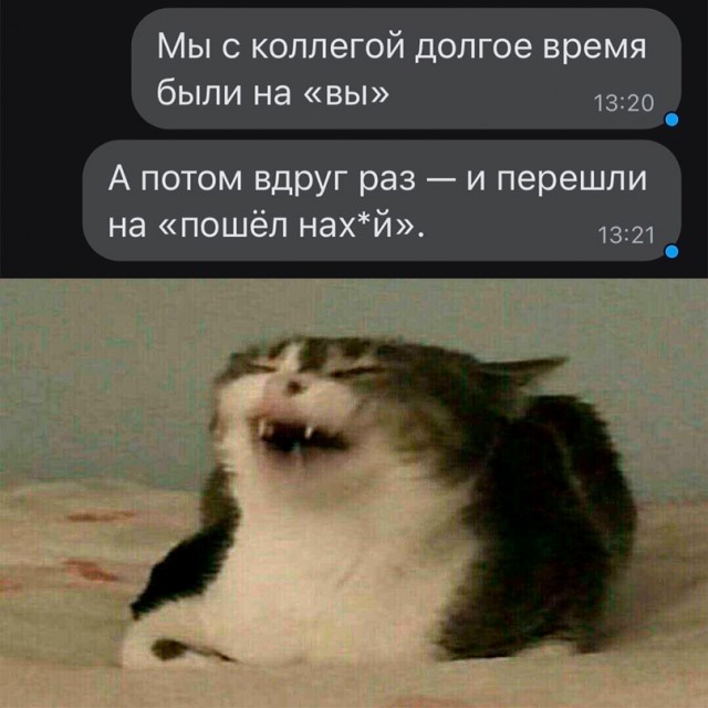 Весёлый полтишок 31.01.23